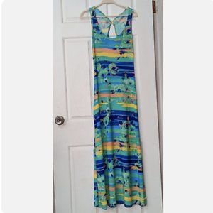 Pretty Young Thing Maxi Summer Dress Blue Sunset Floral Size S - EUC!